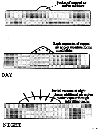 blistering process